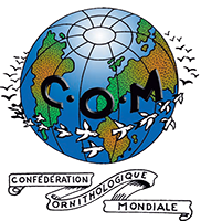 Logo COM-P